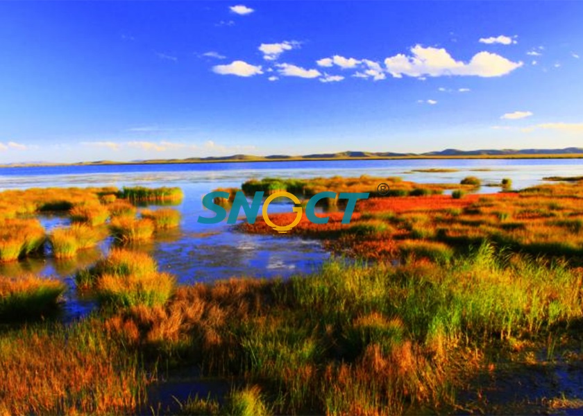 花海景觀設(shè)計(jì)的核心內(nèi)容有哪些？抓住五個(gè)方面！