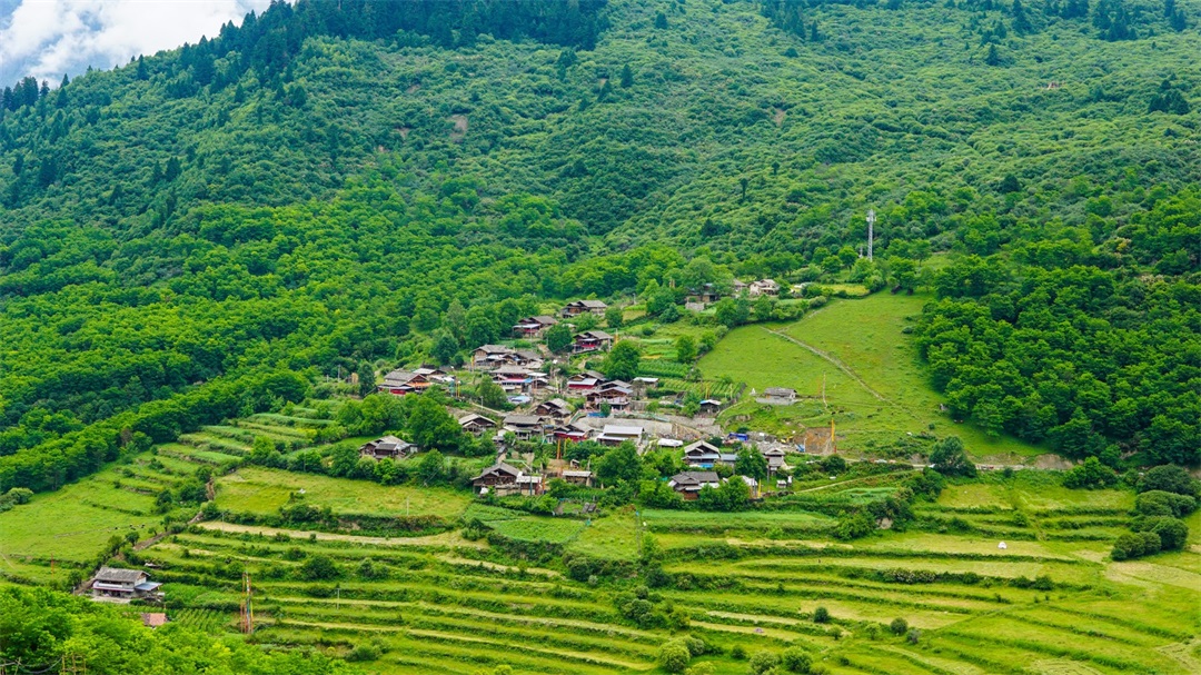 1625709291602186.jpg 4.jpg