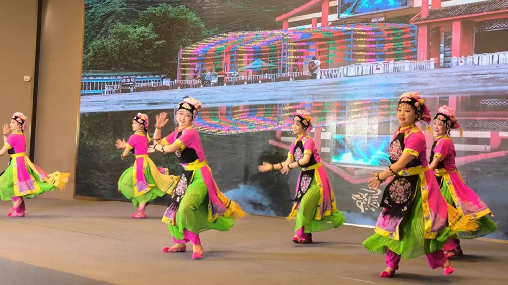 隴南市宕昌縣文化旅游宣傳暨招商引資推介會現場表演.jpg