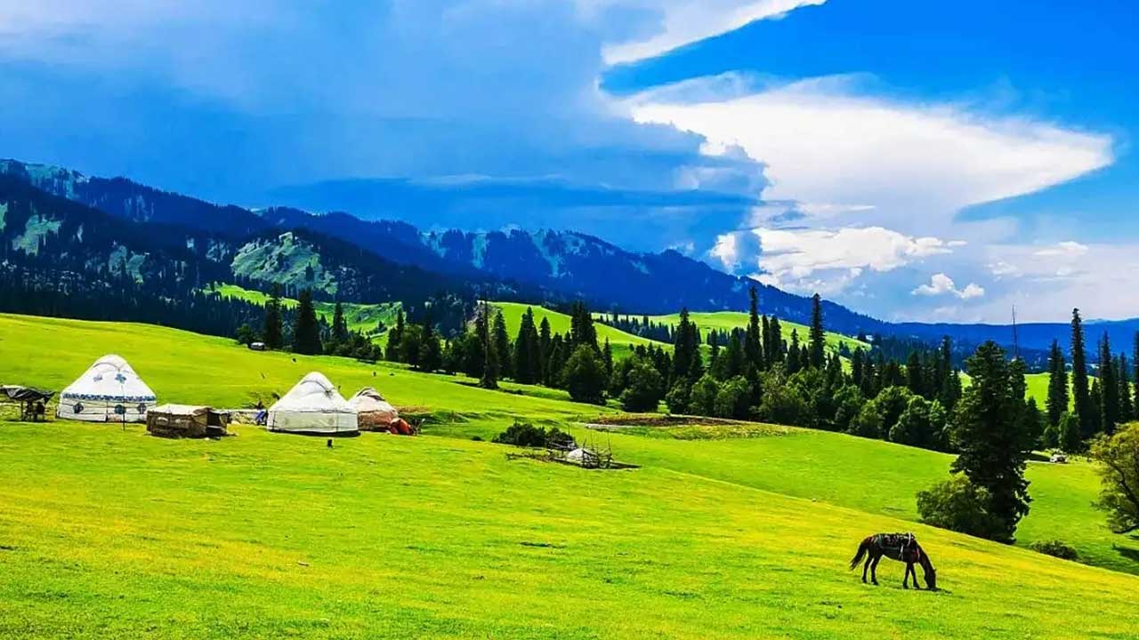 新疆那拉提草原 新疆那拉提草原.jpg